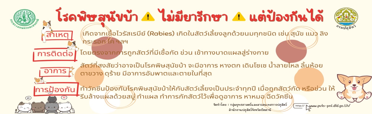 โรคพิษสุนัขบ้า ไม่มียารักษา แต่ป้องกันโรคได้วัคซีน