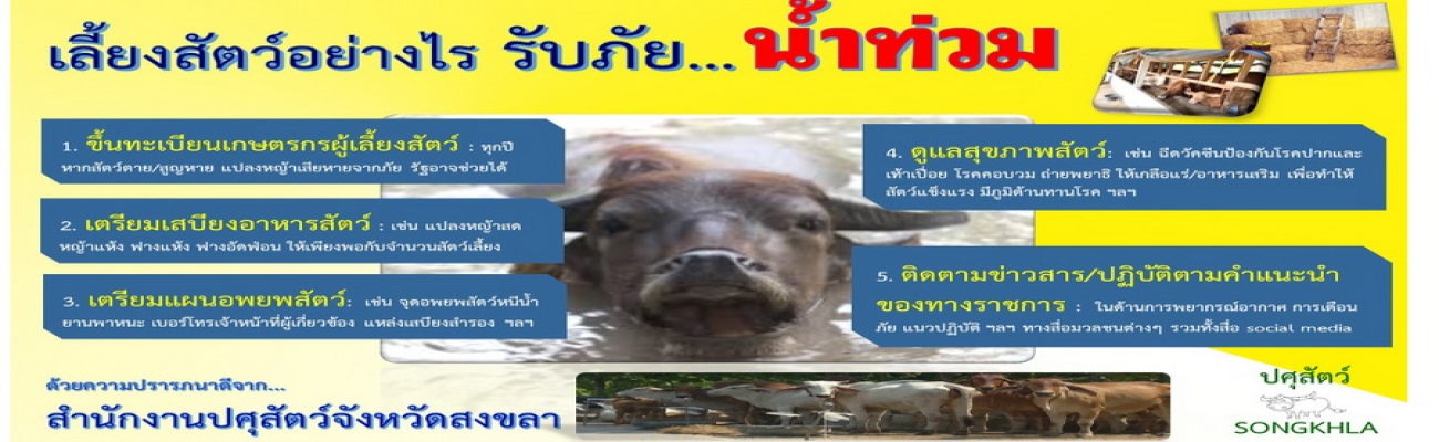 การเลี้ยงสัตว์เพื่อเตรียมพร้อม รับภัยน้ำท่วม