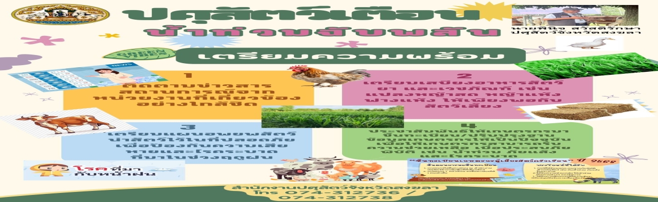 เตรียมรับมือภัยพิบัติ