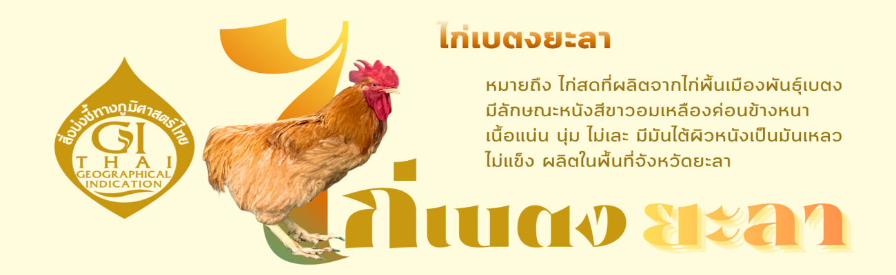 ไก่เบตงยะลา