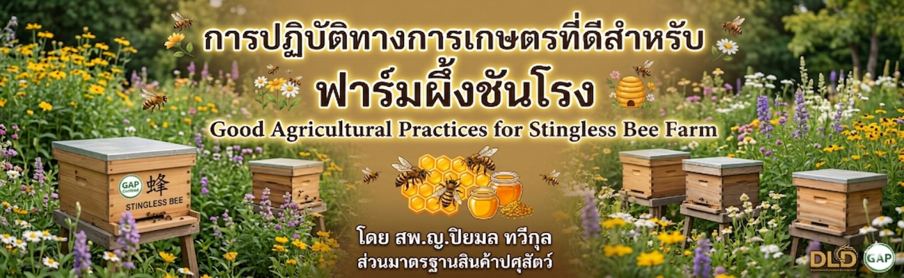 การปฏิบัติทางการเกษตรที่ดีสาหรับ ฟาร์มผึ้งชันโรง (G ood A gricultural P ractices for Stingless bee Farm Farm)