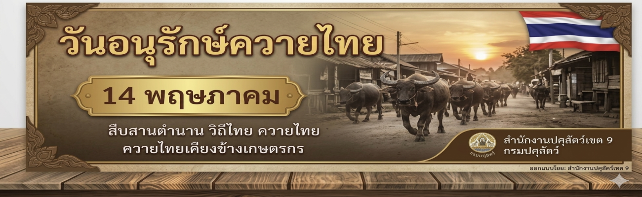 ควายไทย