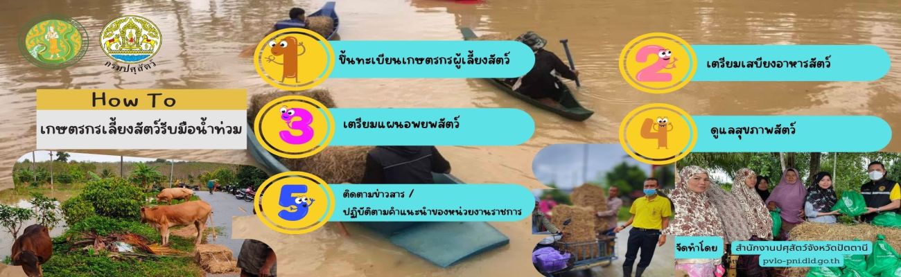 ขั้นตอนที่เกษตรกรผู้เลี้ยงสัตว์ควรรับรู้การเตรียมมือรับน้ำท่วม