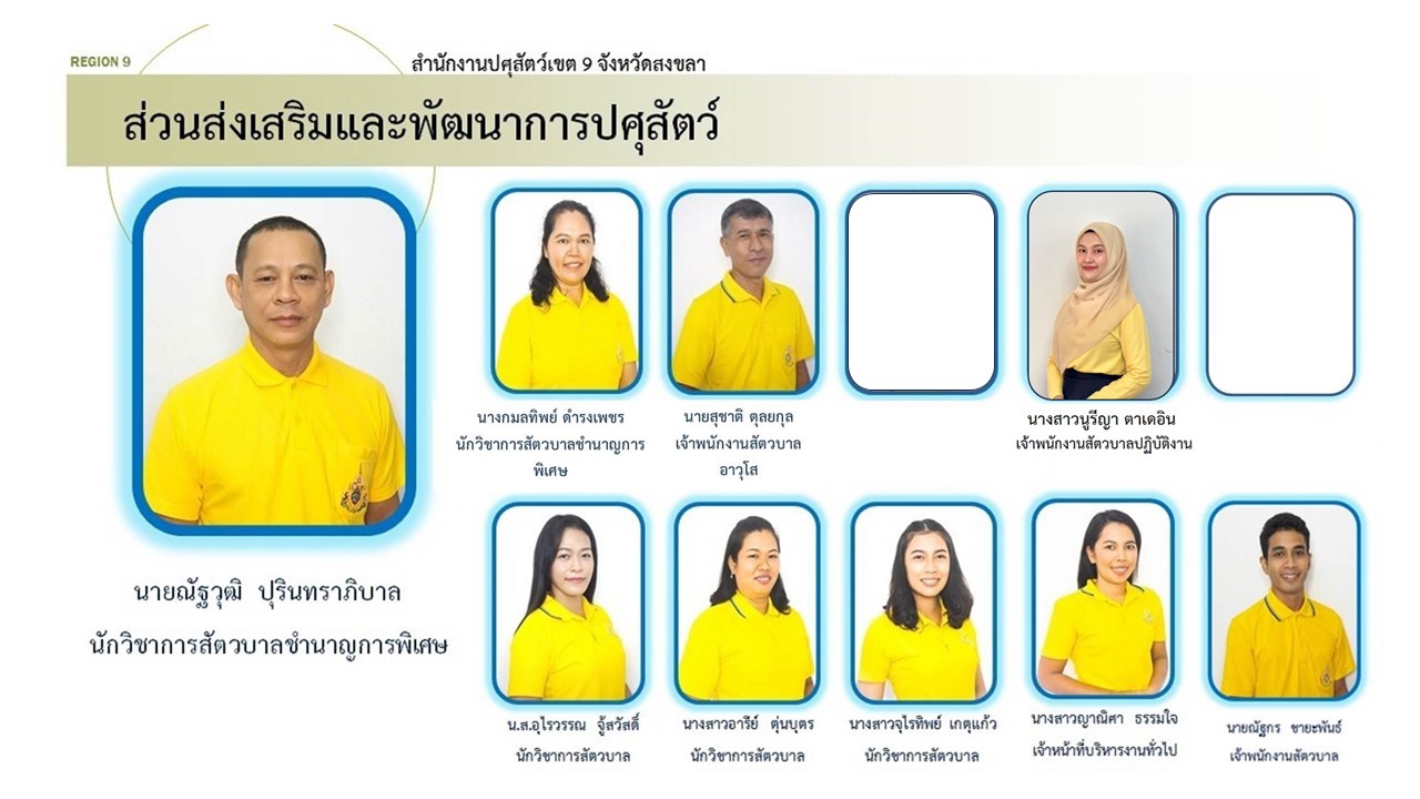 bukhlakr swn sng serim