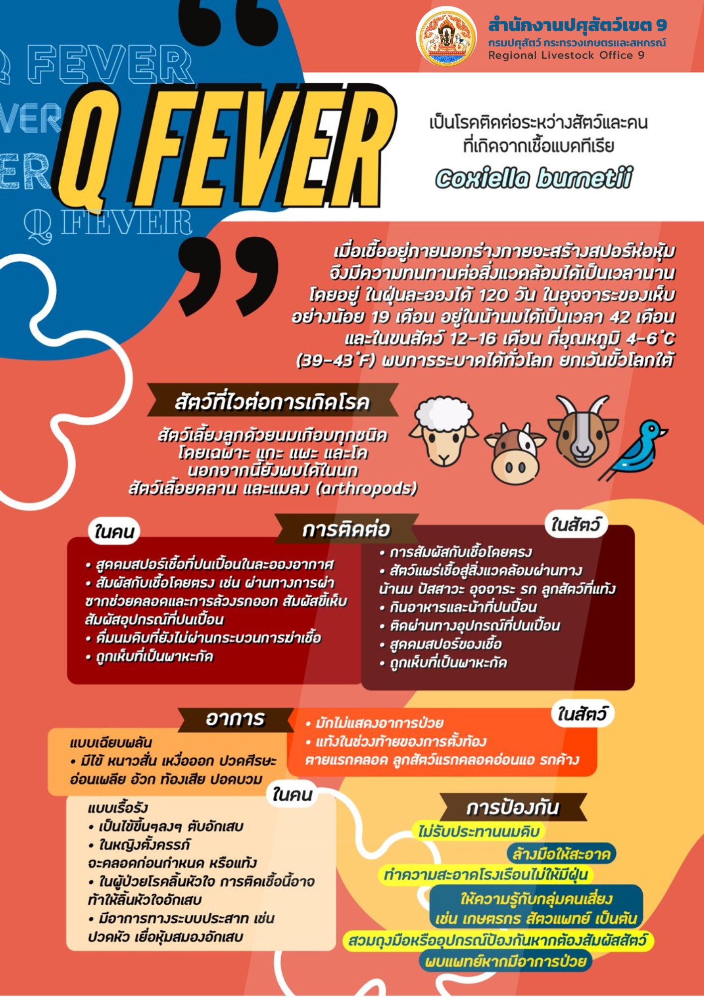 Q fever