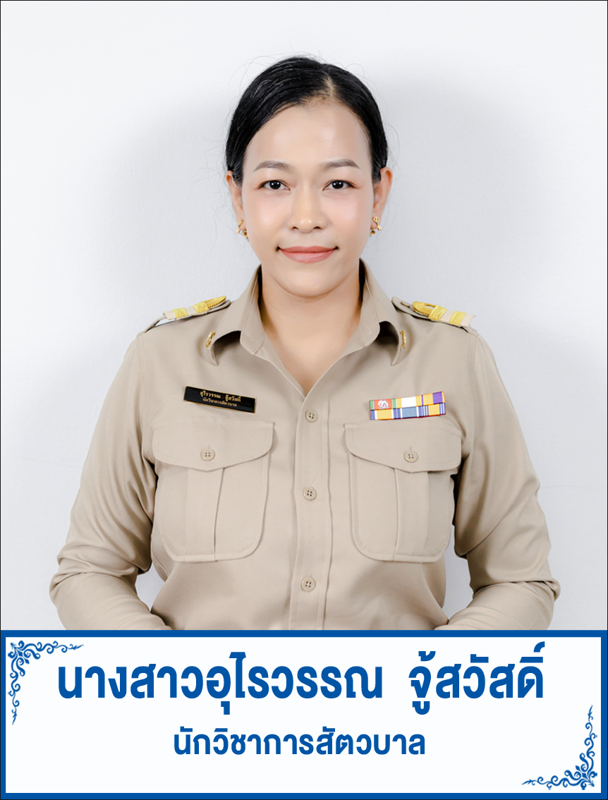 ss joy