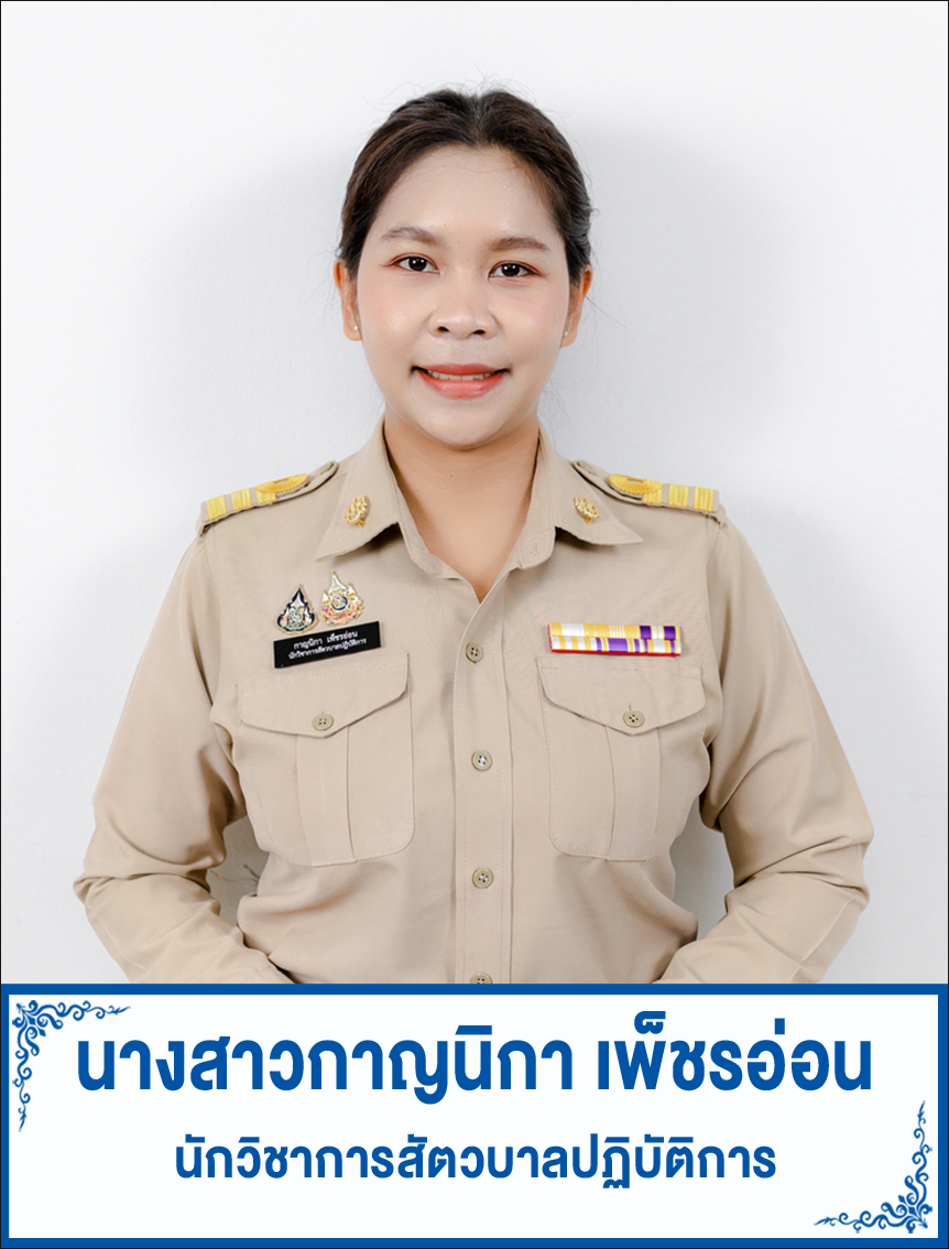 ss pay