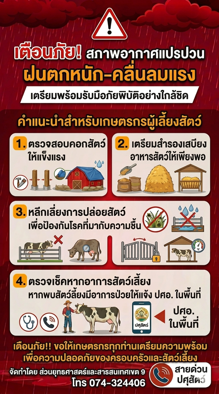 teuxn phay1
