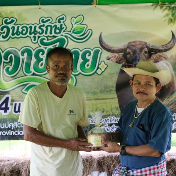 ปศุสัตว์จังหวัดสตูลจัดกิจกรรม ‘วันอนุรักษ์ควายไทย’ ประจำปี 2569