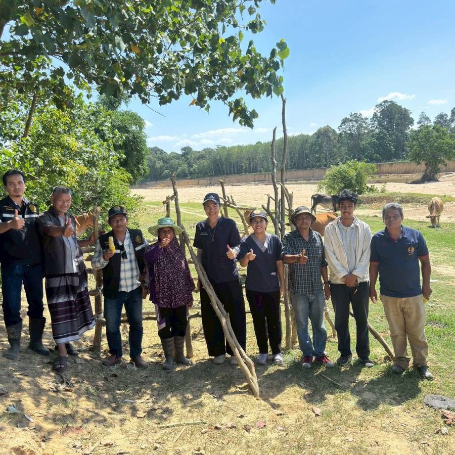 ส่วนสุขภาพสัตว์ ดำเนินโครงการเพิ่มประสิทธิภาพการฉีดวัคซีนโรคปากเท้าเปื่อยในโค พื้นที่จังหวัดยะลา
