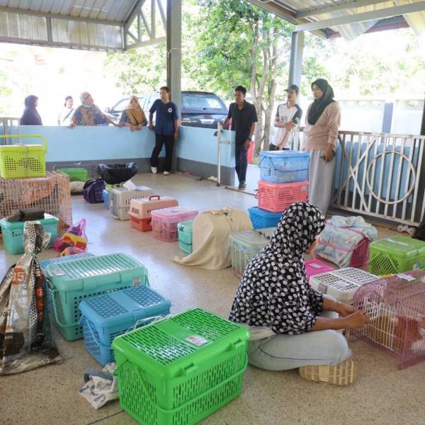 ลงพื้นที่ดำเนินการทำหมันเเมว โครงการสัตว์ปลอดโรคคนปลอดภัยจากโรคพิษสุนัขบ้า 
