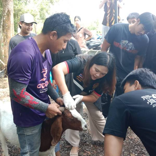 สำนักงานปศุสัตว์จังหวัดสตูล บรรยายและฝึกปฏิบัติการแก่นักศึกษามหาวิทยาลัยราชภัฏสงขลา วิทยาเขตละงู