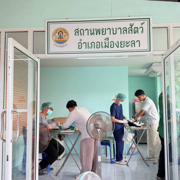 ปศุสัตว์จังหวัดยะลา บริการสถานพยาบาลสัตว์อำเภอเมืองยะลา