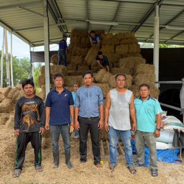สนง.ปศจ.ปัตตานีรับมอบเสบียงอาหารสัตว์เพื่อเตรียม ความพร้อมรับสถานการณ์ภัยพิบัติในพื้นที่อำเภอปะนาเระ, ยะรัง และแม่ลาน
