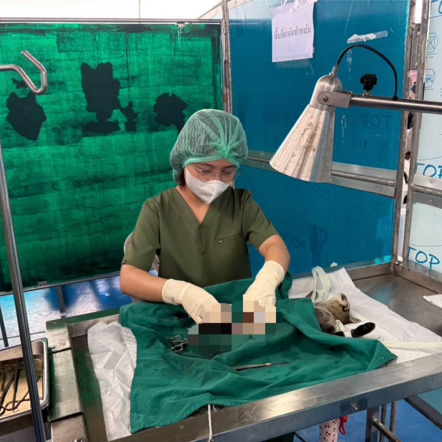 สนง.ปศข. 9 เข้าร่วมกิจกรรมออกหน่วยสัตวแพทย์เคลื่อนที่ฯ จังหวัดปัตตานี