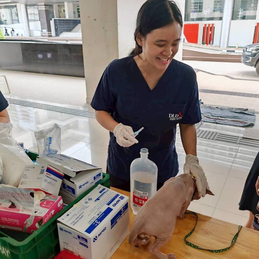 #dldteam9 เร่งช่วยเหลือและตรวจสุขภาพสัตว์ฯ พร้อมแจกถุงยังชีพ ให้แก่ผู้ประสบอุทกภัยในพื้นที่จังหวัดสงขลา