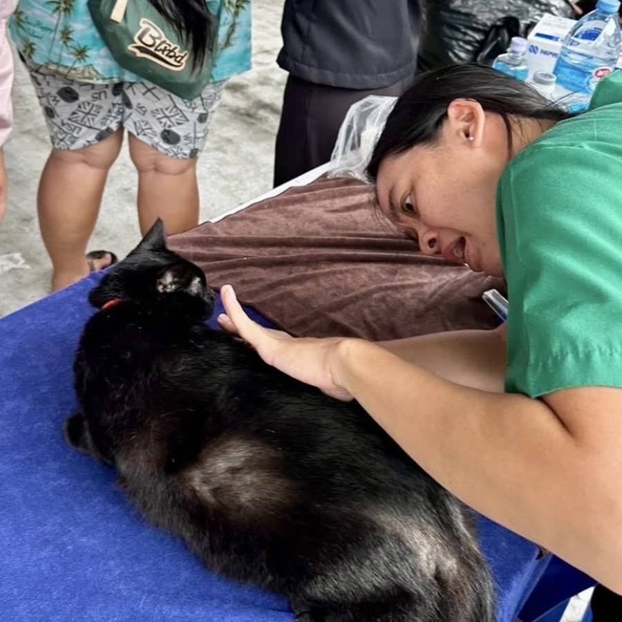 #dldteam9 ทีมนายสัตวแพทย์ ลงพื้นที่ช่วยสัตว์เลี้ยงช่วงมหาอุทกภัย เร่งดูแลสุขภาพ–ป้องกันโรคระบาด พร้อมแจกถุงยังชีพ ให้แก่ผู้ประสบอุทกภัยในพื้นที่จังหวัดสงขลา 