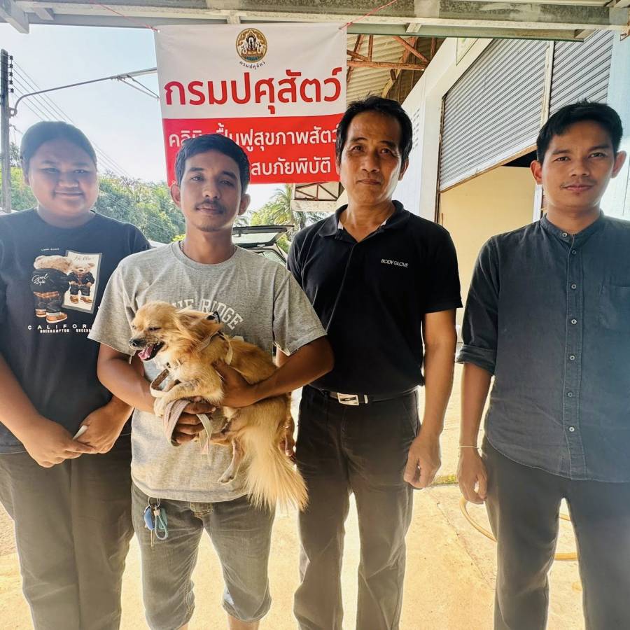 #Dldteam9 เปิดบริการคลินิกฟื้นฟูสุขภาพสัตว์ เพื่อผู้ประสบภัยพิบัติ ณ สำนักงานปศุสัตว์เขต 9