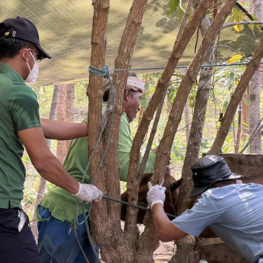 #dldteam9 ทีมนายสัตวแพทย์ ลงพื้นที่ช่วยสัตว์เลี้ยงช่วงมหาอุทกภัย เร่งดูแลสุขภาพ–ป้องกันโรคระบาด ให้แก่ผู้ประสบอุทกภัยในพื้นที่ อำเภอรามัน จังหวัดยะลา