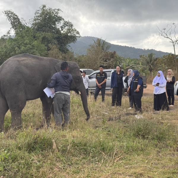 สำนักงานปศุสัตว์จังหวัดยะลา ตรวจสอบข้อเท็จจริงกรณีข้อร้องเรียนการจัดสวัสดิภาพสัตว์ ที่ได้รับจากเบาะแสผ่าน application DLD 4.0