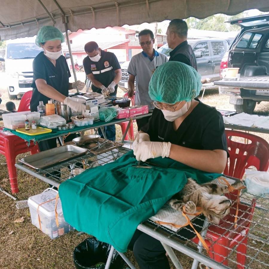 สนง.ปศข. 9 เข้าร่วมกิจกรรมทำหมันและฉีดวัคซีนป้องกันโรคพิษสุนัขบ้า ณ โรงเรียนบ้านบูเกตยามู ตำบลควนโดน อำเภอควนโดน จังหวัดสตูล