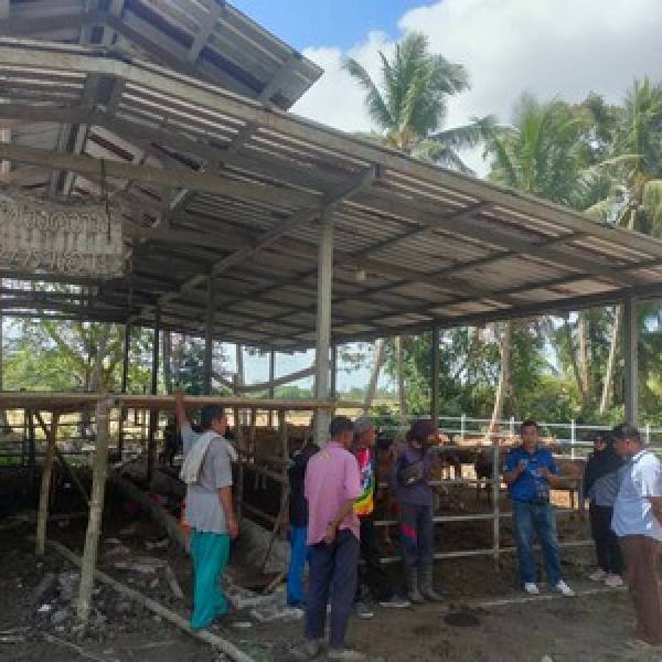 ติดตามและตรวจเยี่ยมกลุ่มเกษตรกรเลี้ยงโคเนื้อ โครงการโคบาลชายแดนใต้