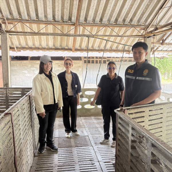 ปศุสัตว์จังหวัดยะลา  ตรวจต่ออายุโรงฆ่าสัตว์ 