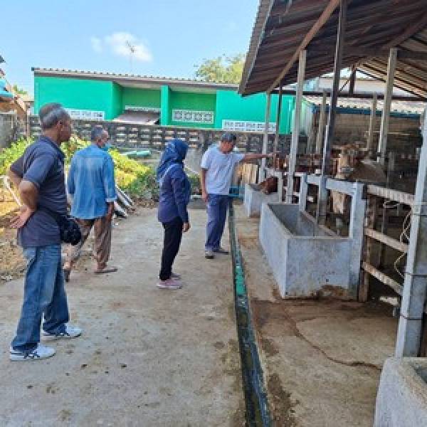 กลุ่มส่งเสริมและพัฒนาการปศุสัตว์ ตรวจเยี่ยมเกษตรกรเลี้ยงโคเนื้อและการจัดการพืชอาหารสัตว์