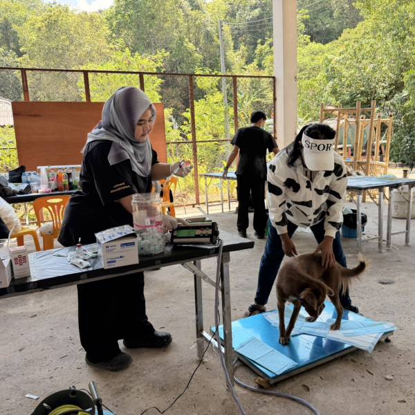 ปศุสัตว์จังหวัดยะลา ออกหน่วยปศุสัตว์เคลื่อนที่ให้บริการด้านสุขภาพสัตว์