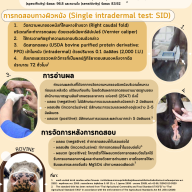 info Tuberculin test การทดสอบวัณโรคในสัตว์