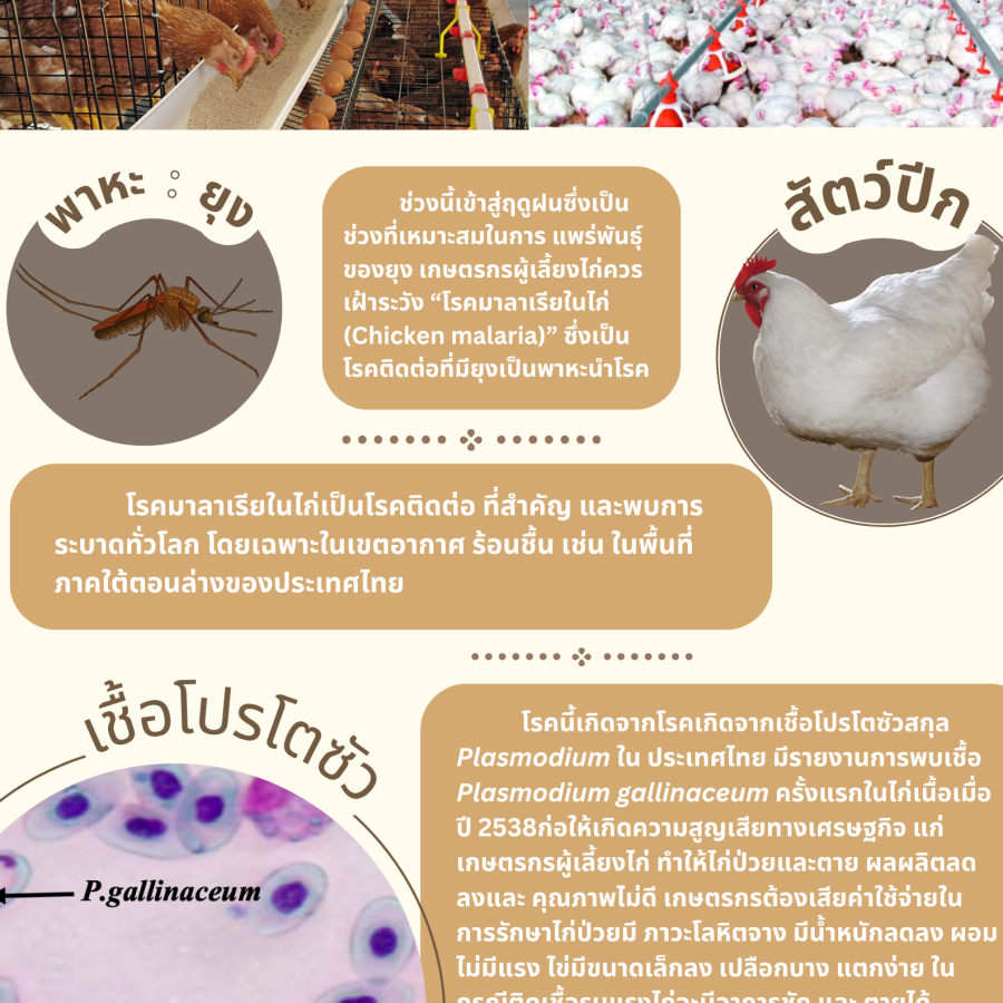 โรคมาลาเรียในสัตว์ปีก