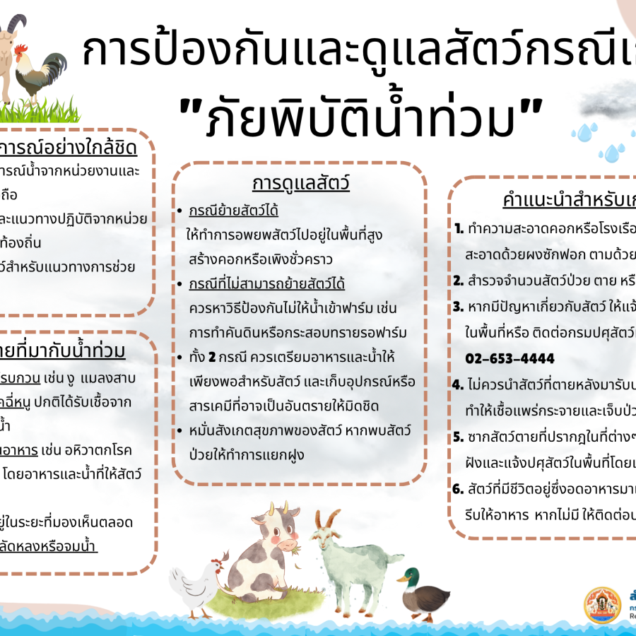 การป้องกันดูแลสัตว์เลี้ยงในห้วง 