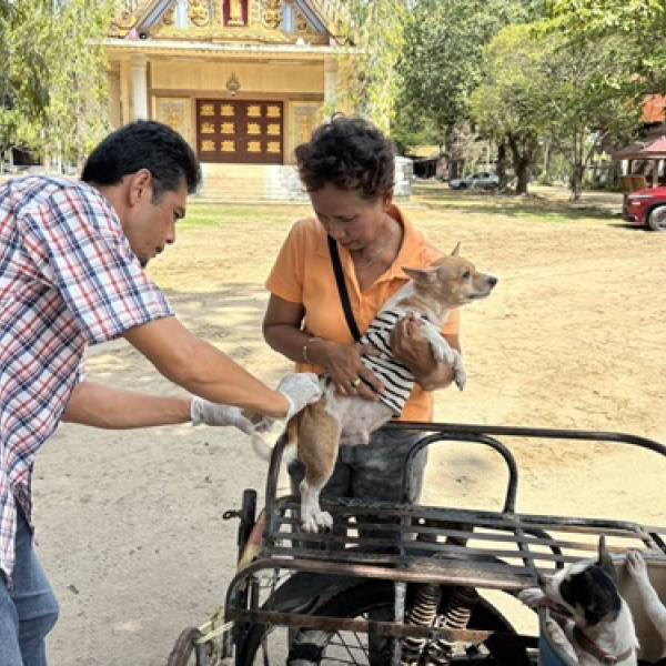 กิจกรรม รณรงค์ฉีดวัคซีนป้องกันโรคพิษสุนัขบ้า