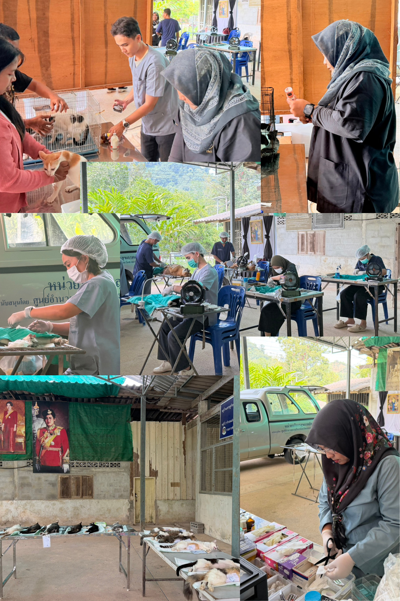 Sterilization1