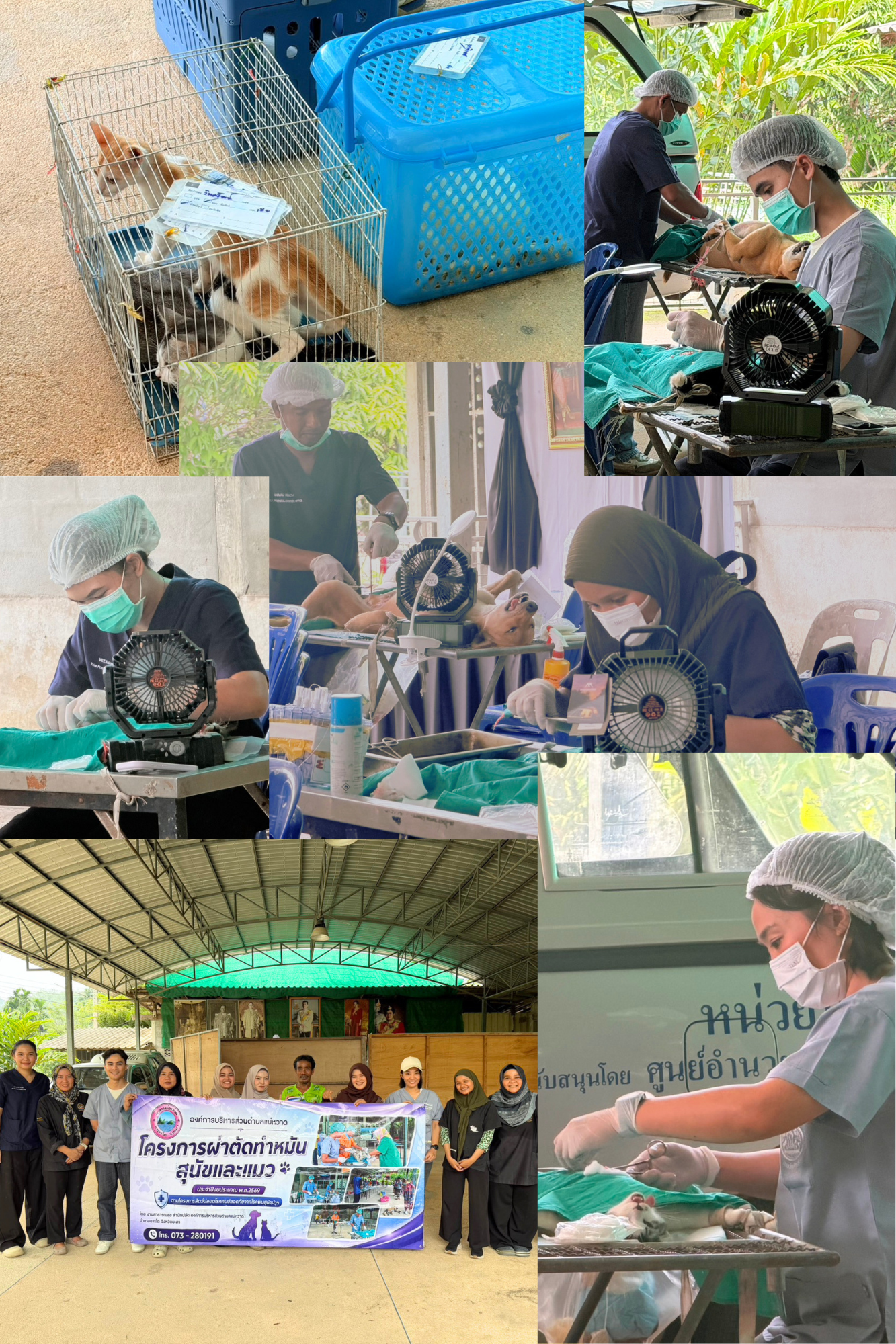 Sterilization2