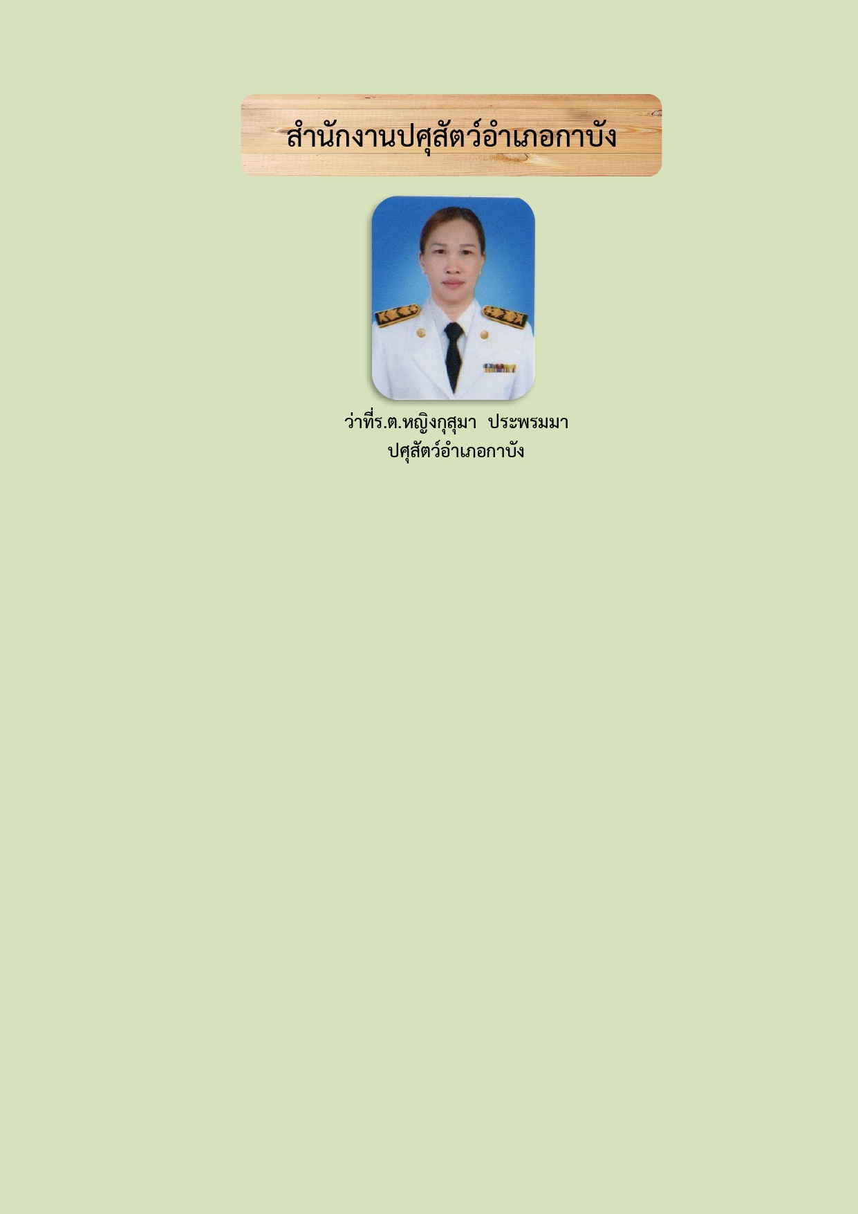 080669 page 0013