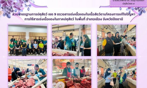 🌻ส่วนมาตรฐานการปศุสัตว์ เขต 9 ตรวจสารเร่งเนื้อแดงในเนื้อสัตว์ตามโครงการแก้ไขปัญหาการใช้สารเร่งเนื้อแดงในภาคปศุสัตว์ ในพื้นที่ อำเภอเมือง จังหวัดปัตตานี🌻