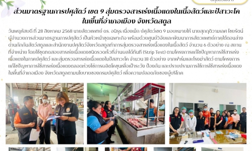 🌻ส่วนมาตรฐานการปศุสัตว์ เขต 9 สุ่มตรวจสารเร่งเนื้อแดงในเนื้อสัตว์และปัสาวะโค ในพื้นที่อำเภอเมือง จังหวัดสตูล🌻