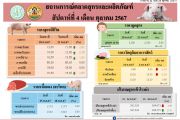 ราคาเฉลี่ยสินค้าปศุสัตว์ที่เกษตรกรขายได้ สัปดาห์ที่ 4 เดือนตุลาคม 2567