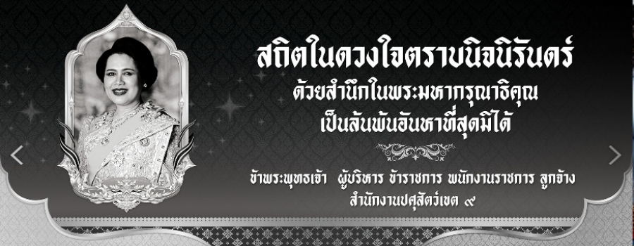 สถิตในดวงใจตราบนิจนิรันดร์ สถิตในดวงใจตราบนิจนิรันดร์